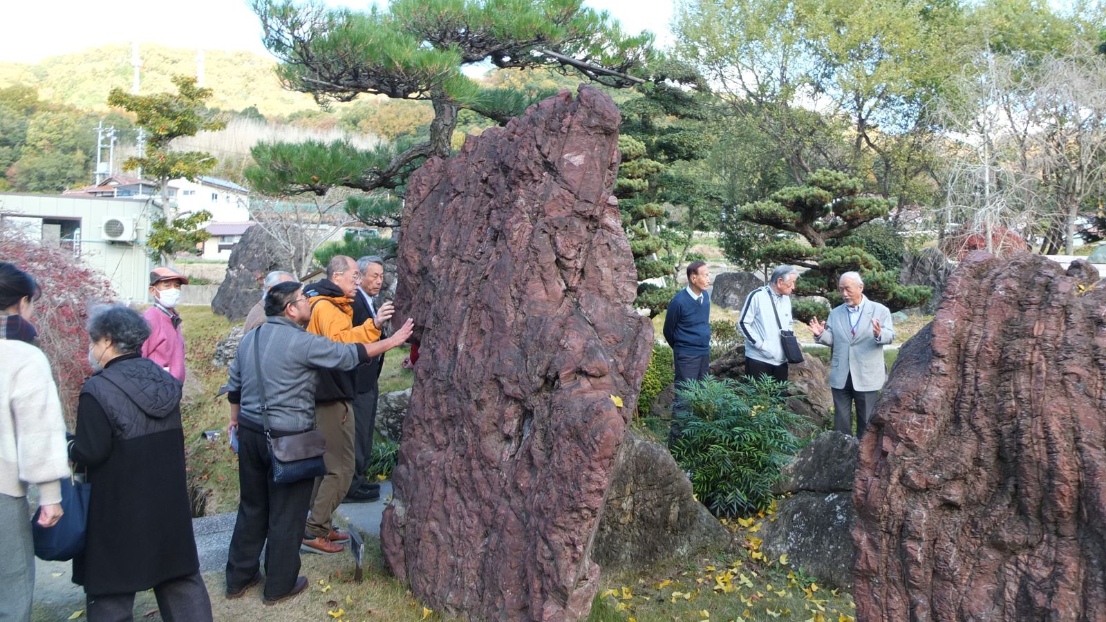 幾つもの庭があり様々な銘石を配置